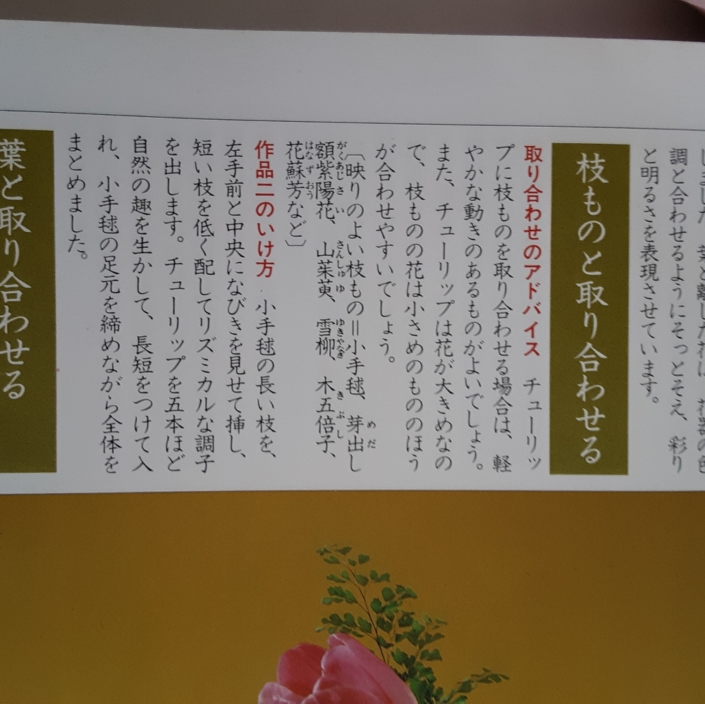 Book of flowers and flower arrangements written in Japanese. - Picture 8 of 12